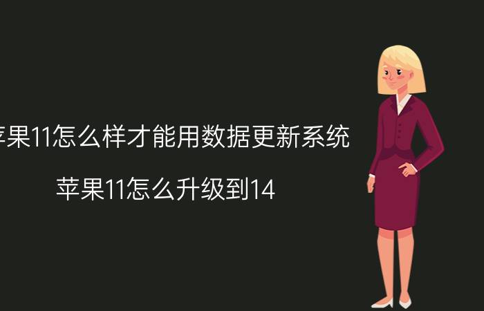 苹果11怎么样才能用数据更新系统 苹果11怎么升级到14.8？